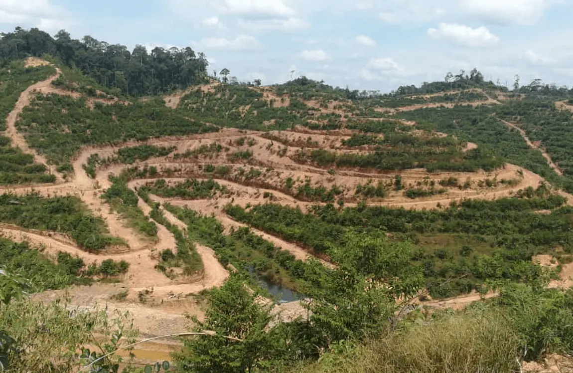 Terraces being cut into a cleared hillside