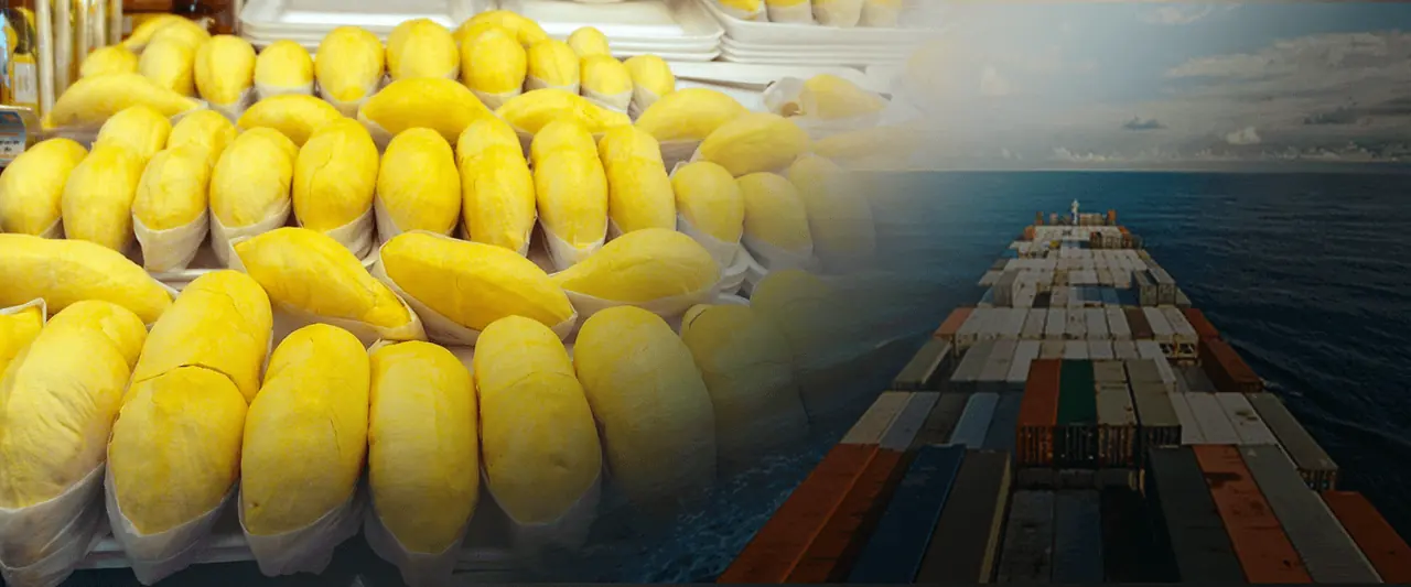 Durian pulp and a container ship